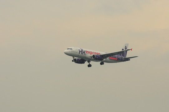 飛機(jī)