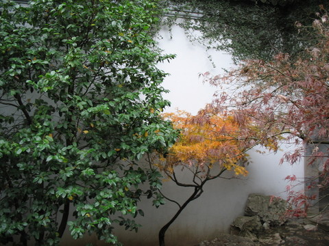 園中一隅