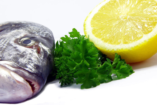 魚類組成