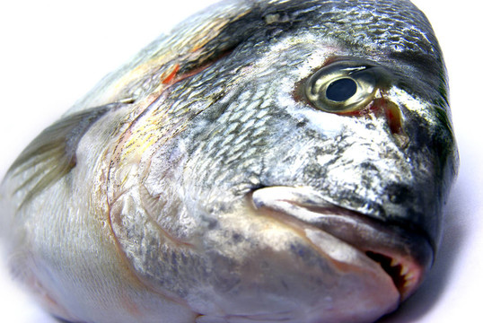 魚生分離