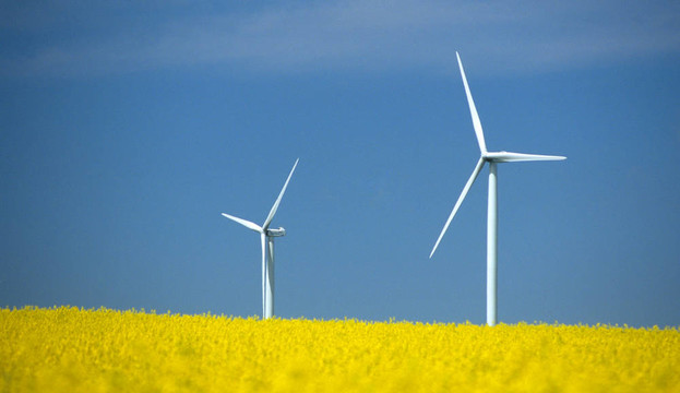 農(nóng)場winturbines接近油菜田