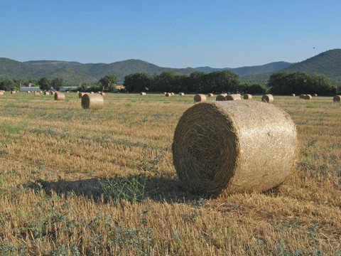 hayrolls