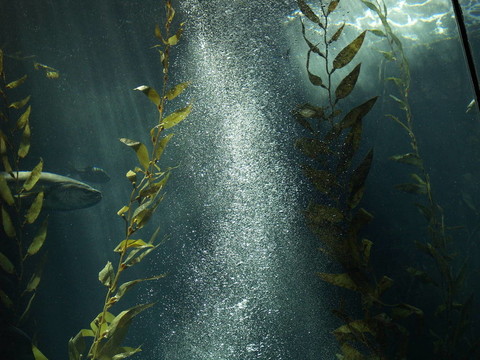 水族館