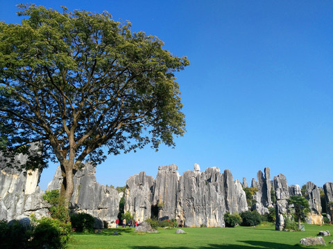 石林勝景