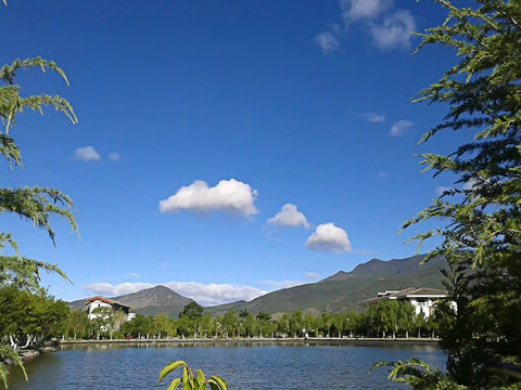 校園風(fēng)景