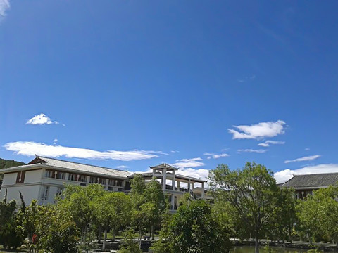 校園風(fēng)光