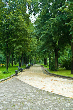 公園里