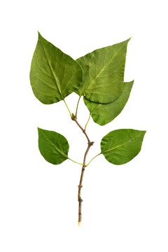 標(biāo)本館