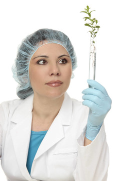植物研究
