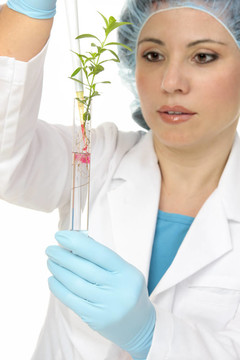 植物科學(xué)或農(nóng)學(xué)