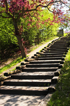 在公園里的木樓梯