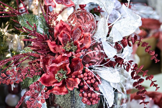 poinsetta浮華