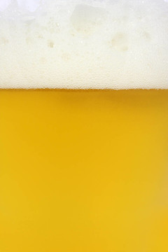 冷啤酒
