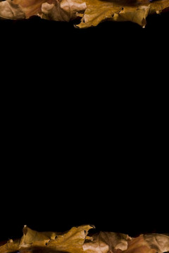 黑色萬圣節(jié)系列