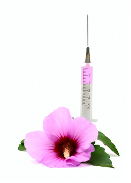 白色的花和注射器