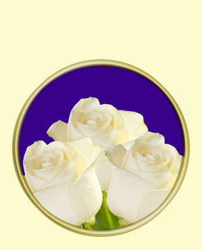 White Rose賀卡