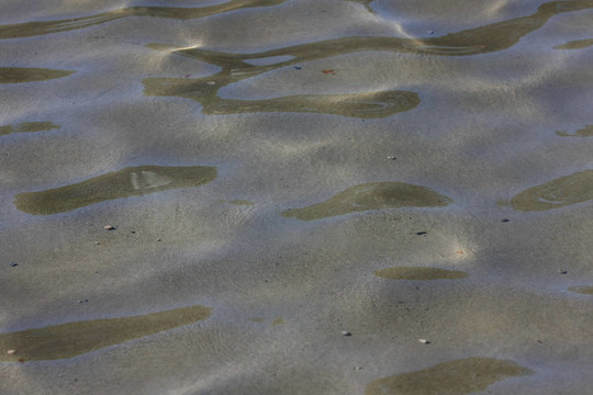 水