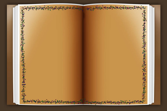 老書