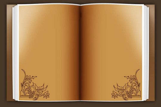 老書