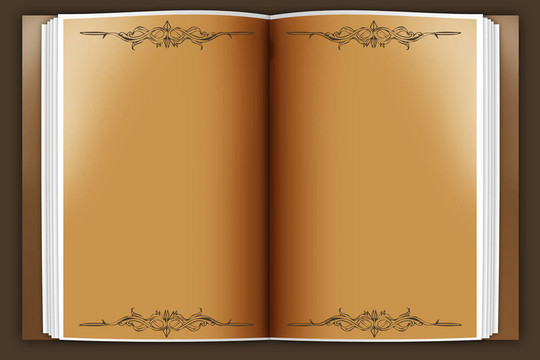 老書
