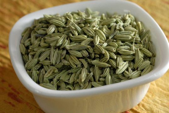 茴香種子干燥作為調(diào)味品