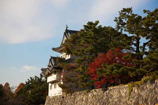 名古屋城