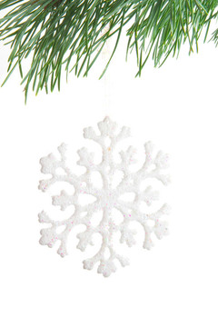 雪花在冷杉枝上