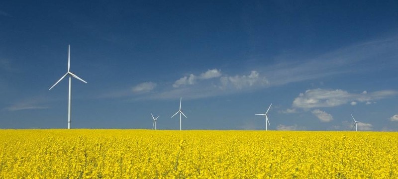 農(nóng)場的風力渦輪機靠近油菜田