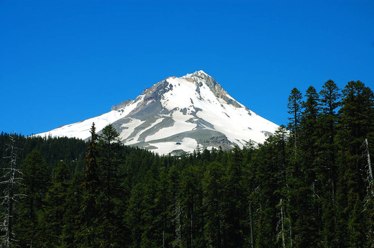 胡德山
