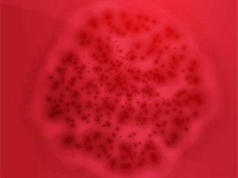 細(xì)菌細(xì)胞生長(zhǎng)說(shuō)明