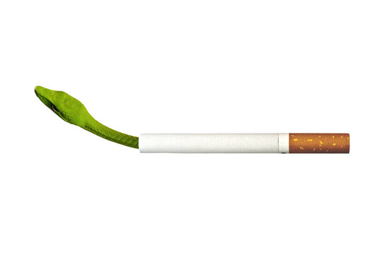 煙毒和蝮蛇毒