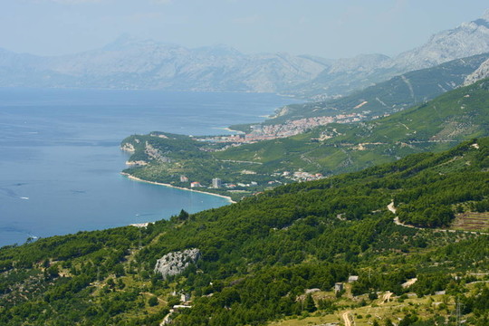 海