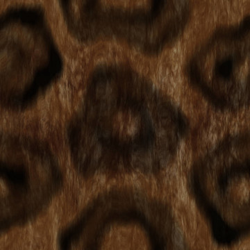動(dòng)物的皮毛