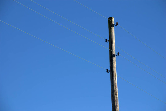 舊電線桿