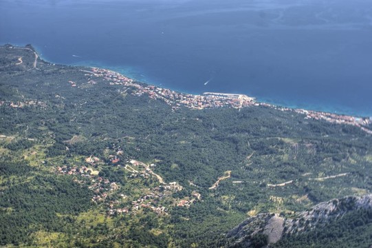 海