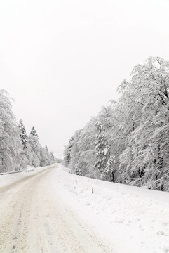 雪中交通路