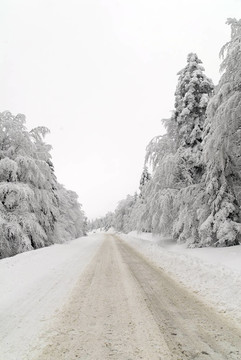 雪中交通路