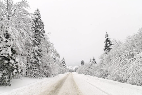 雪中交通路