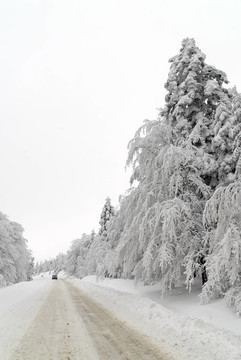 雪中交通路