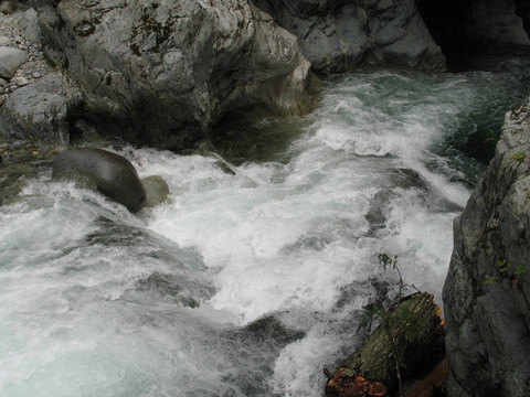 綠河的水