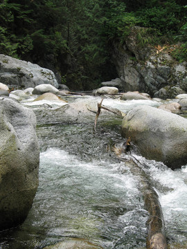 綠河的水