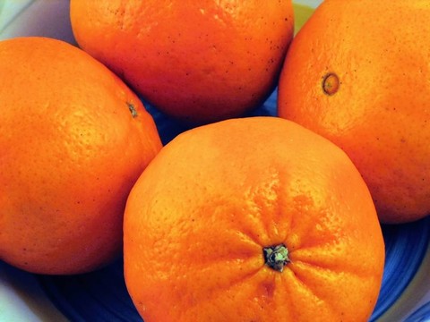 營養(yǎng)食品和水果