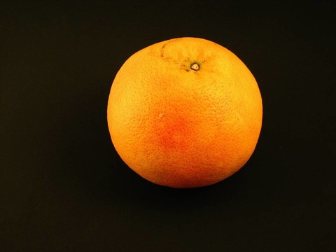 營(yíng)養(yǎng)食品和水果