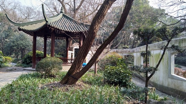 園林風(fēng)光