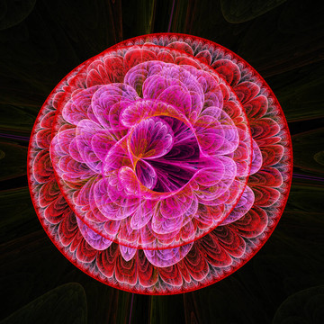 花輪
