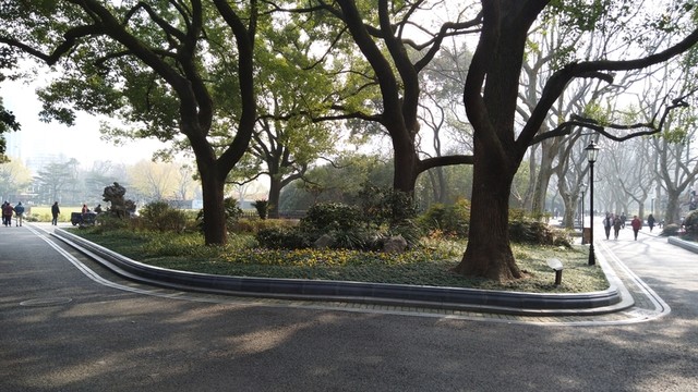 園林風(fēng)光