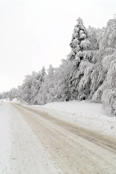 雪中交通路