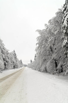 雪中交通路