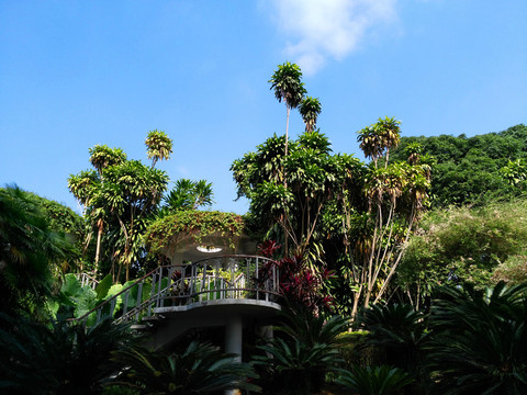 空中花園