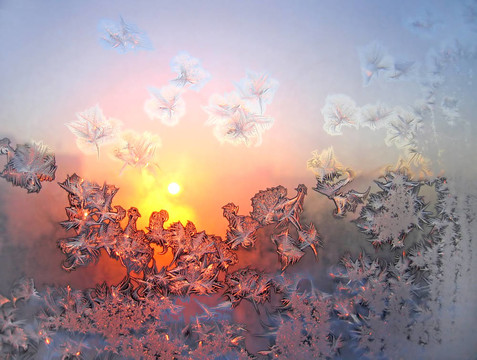 Frost和孫